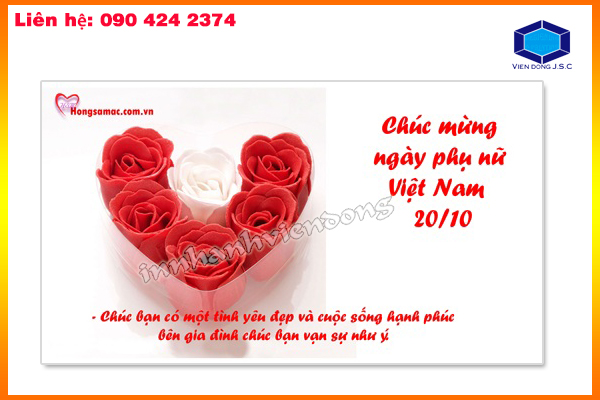 In nhanh Lay ngay Ha Noi HCM, Cung cap Tui, Hop dung qua