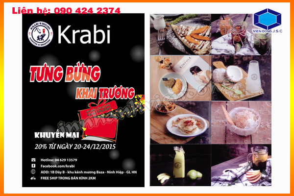 In nhanh Lay ngay Ha Noi HCM, Cung cap Tui, Hop dung qua