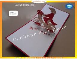 In nhanh Lay ngay Ha Noi HCM, Cung cap Tui, Hop dung qua