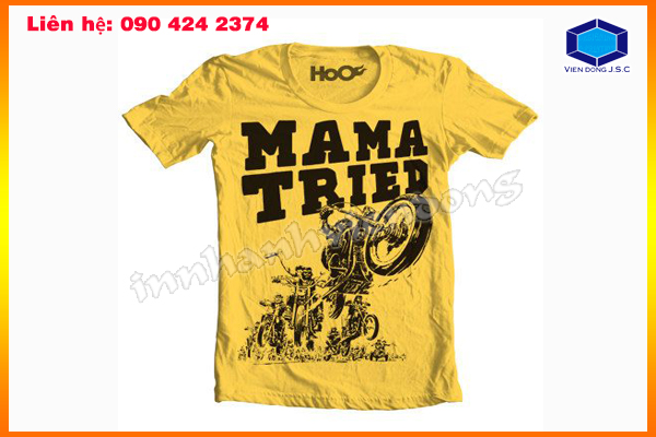 In nhanh Lay ngay Ha Noi HCM, Cung cap Tui, Hop dung qua