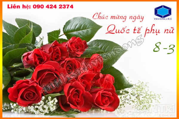 In nhanh Lay ngay Ha Noi HCM, Cung cap Tui, Hop dung qua