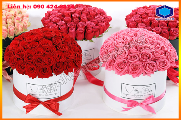 In nhanh Lay ngay Ha Noi HCM, Cung cap Tui, Hop dung qua