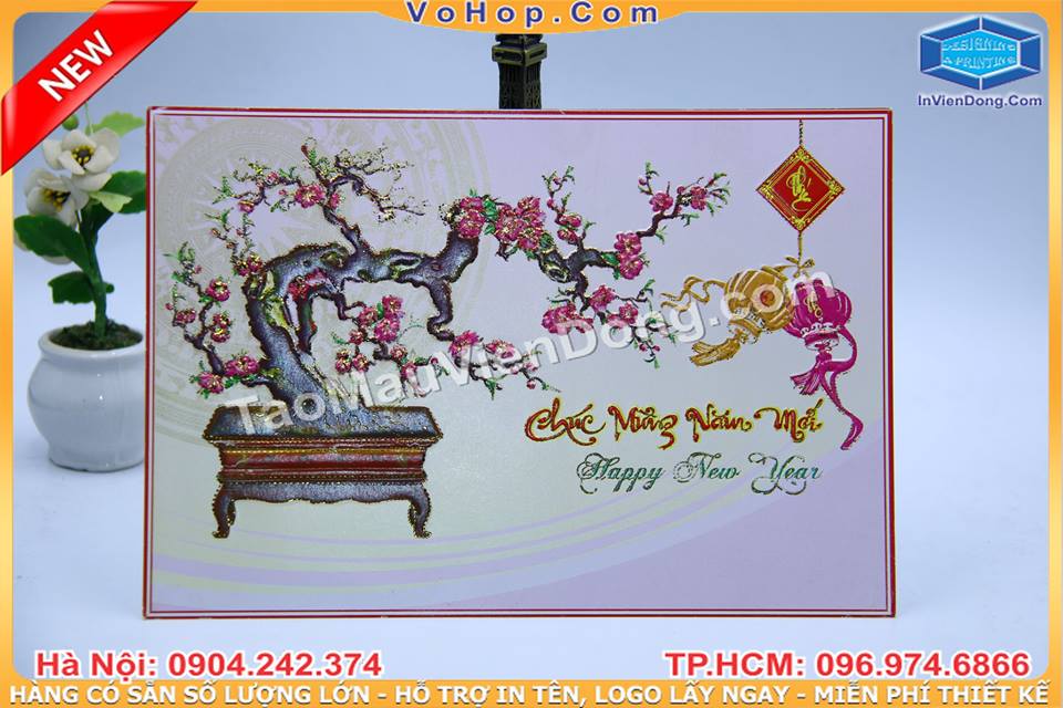 In nhanh Lay ngay Ha Noi HCM, Cung cap Tui, Hop dung qua
