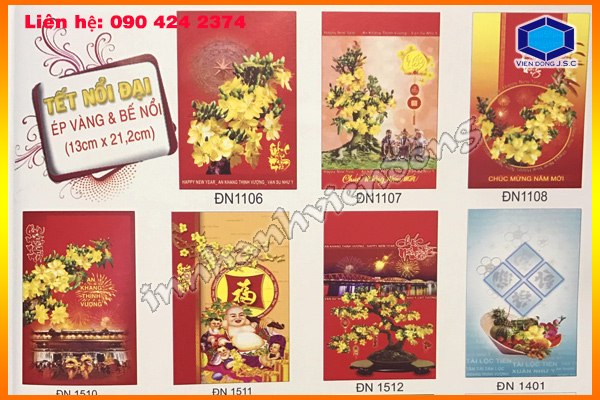In nhanh Lay ngay Ha Noi HCM, Cung cap Tui, Hop dung qua