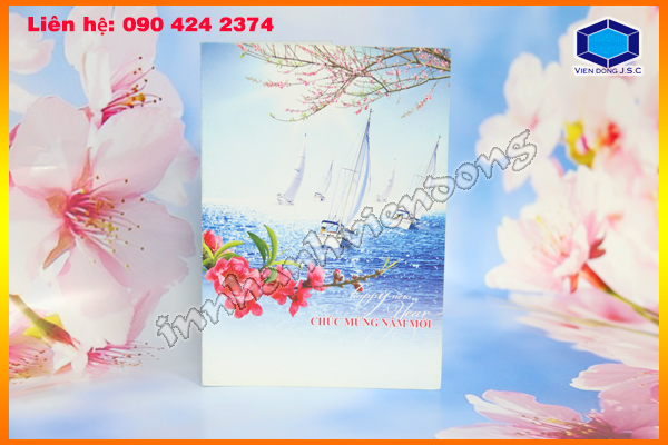 In nhanh Lay ngay Ha Noi HCM, Cung cap Tui, Hop dung qua