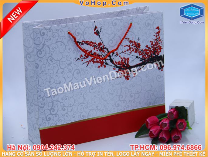 In nhanh Lay ngay Ha Noi HCM, Cung cap Tui, Hop dung qua