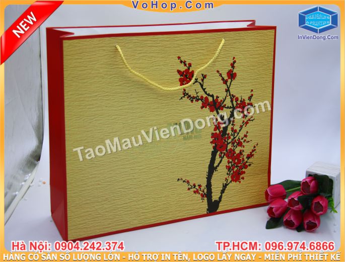 In nhanh Lay ngay Ha Noi HCM, Cung cap Tui, Hop dung qua