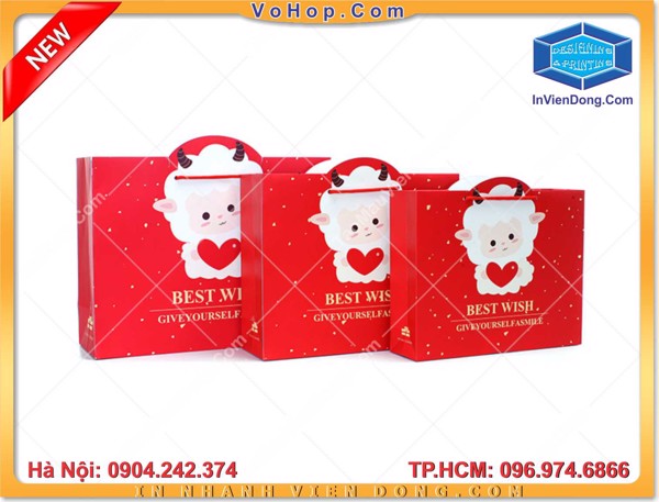 In túi giấy đẹp | In nhanh Lay ngay Ha Noi HCM, Cung cap Tui, Hop dung qua